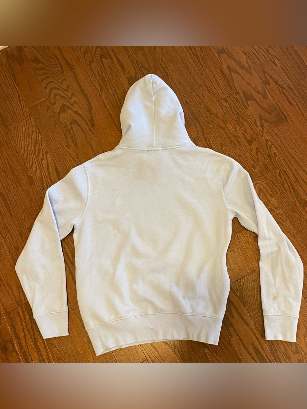 Polo Ralph Lauren Light Blue Polo Bear Beach Hoodie Sweatshirt - Picture 3 of 8